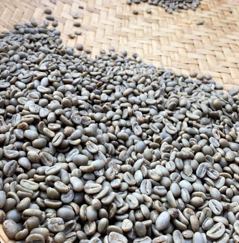 TORAJA ARABICA COFFEE